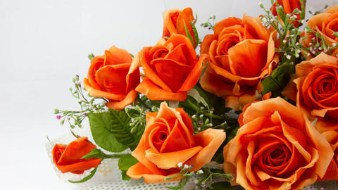 What to do with Orange Roses?