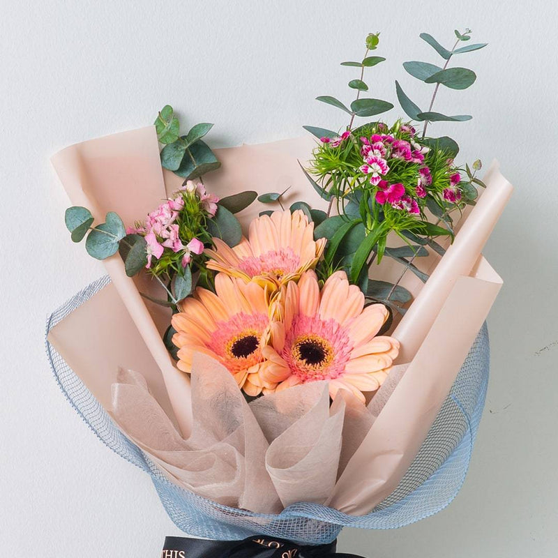 Beverly Gerbera Bouquet | Free Delivery | BloomThis
