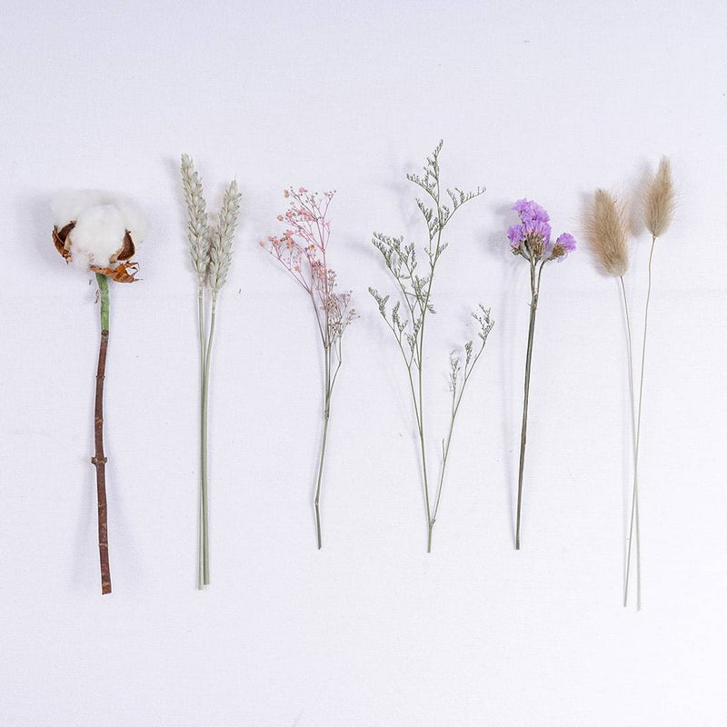 Best Online Dried Flowers - Delineate Your Dwelling