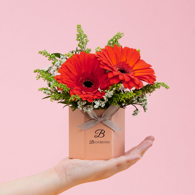 Fabuelo Gerbera Mini Flower Box | Free Delivery | BloomThis