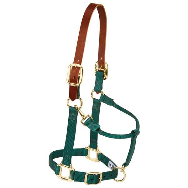 Weaver Leather Breakaway Original Adjustable Chin And Throat Snap Halter Average Green 1"
