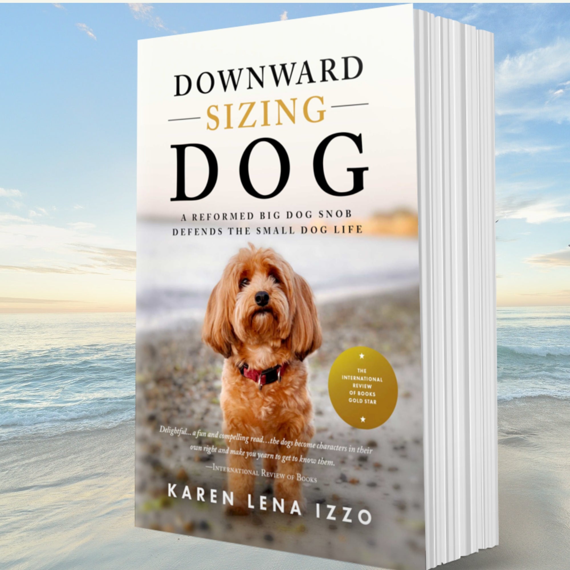 2000px x 2000px - Get Downward Sizing Dog Now! Â· The Small Dog Rules