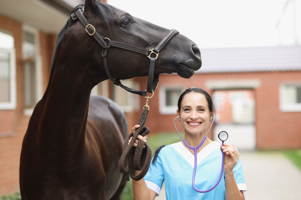 Smiling veterinarian with horse is holding stethoscope