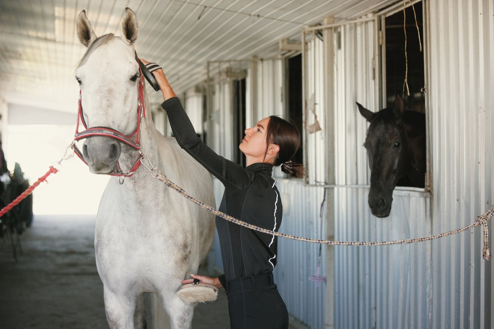 woman training horse for dressage at stable
