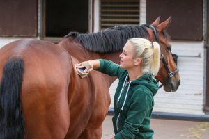 Rider's Guide To Horse Grooming Supplies