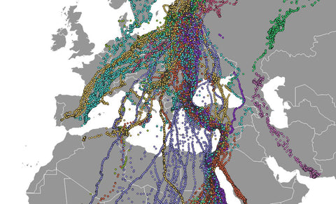 Mapping Migration Routes