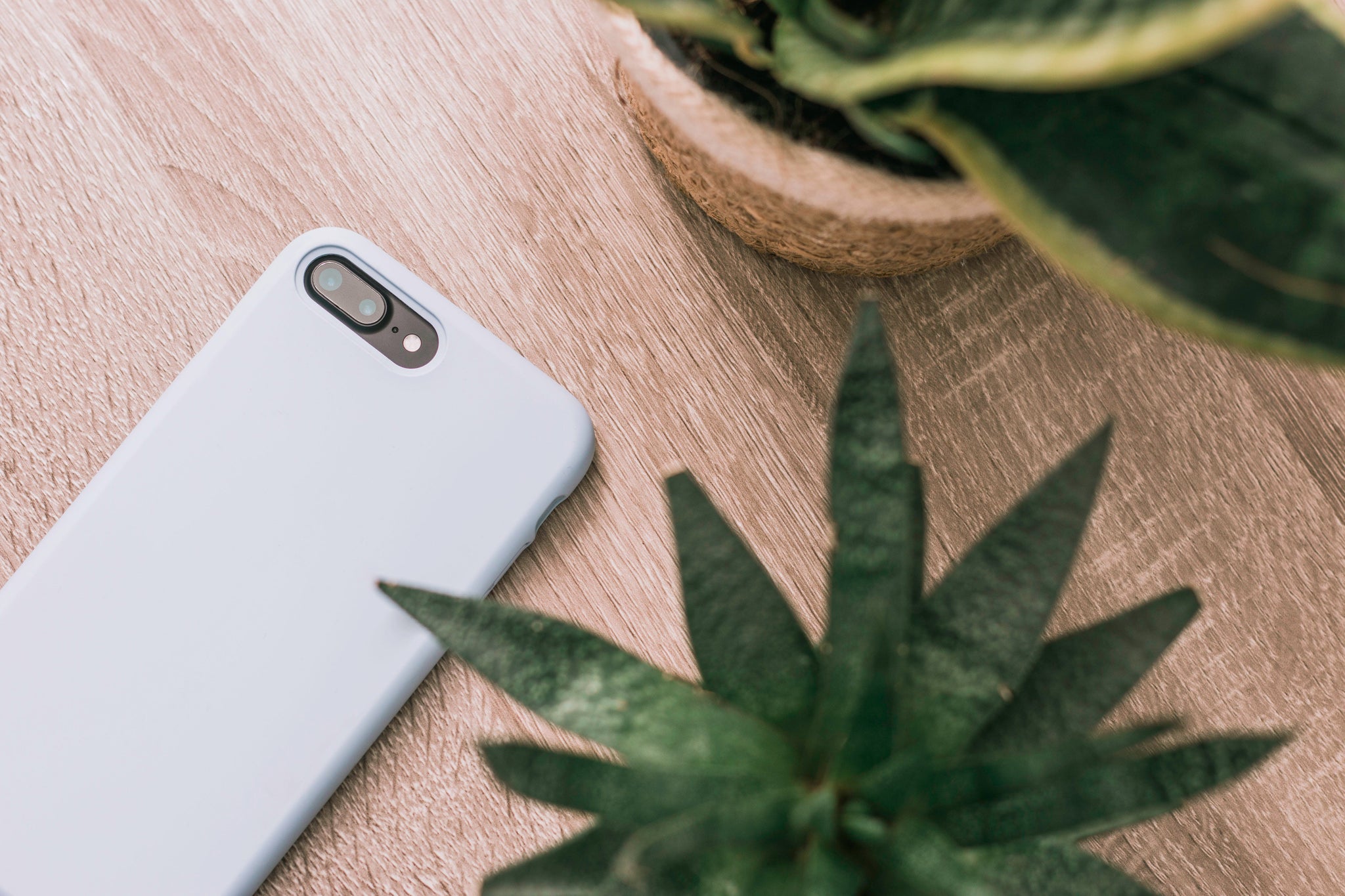 An iPhone with a light blue phone case lying on a wooden table next to two small plants.