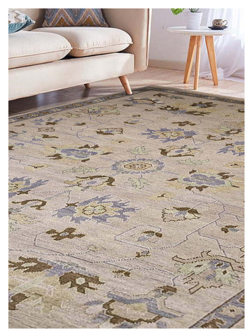 Blossom Beige 8x10 Transitional Rug