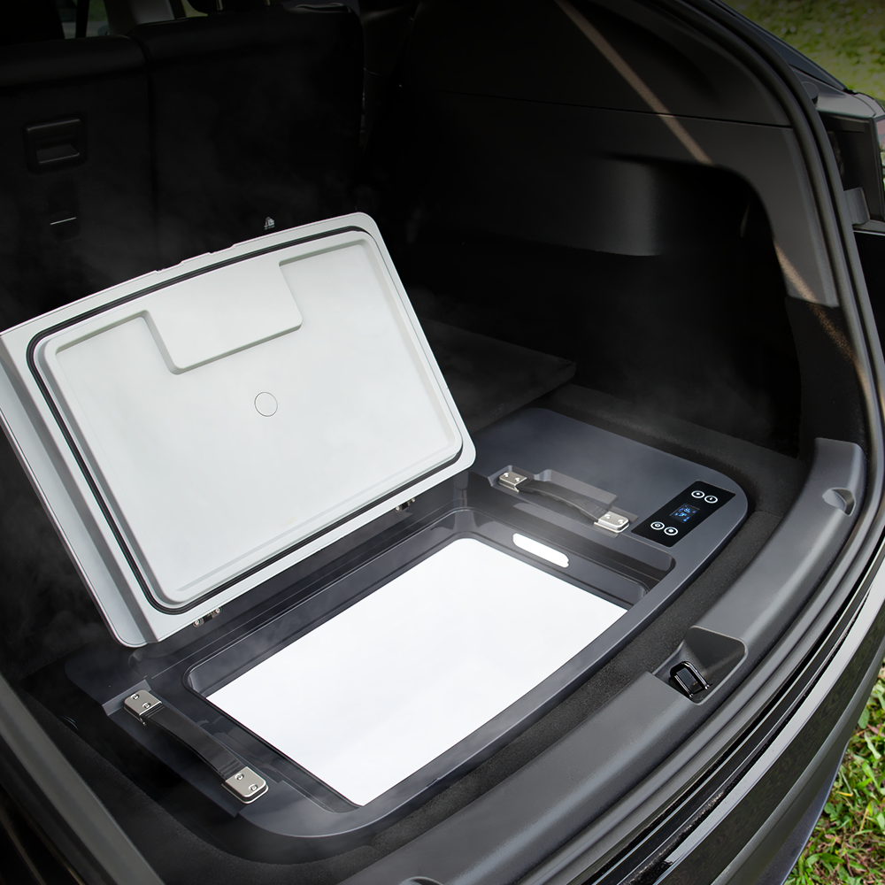 Le meilleur réfrigérateur de voiture pour garder vos affaires au frais –  TeslaFridge