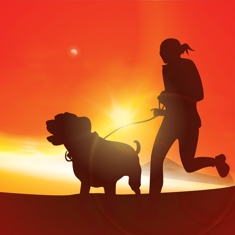 dog and owner running 