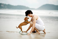 human and dog on beach bonding