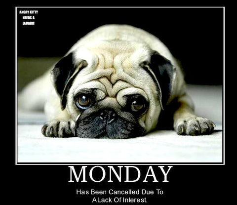 funny Monday dog meme