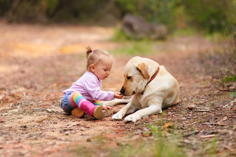 child playing with dog outside