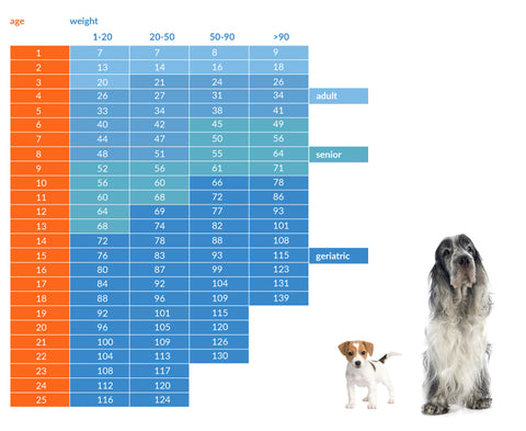 dog aging chart