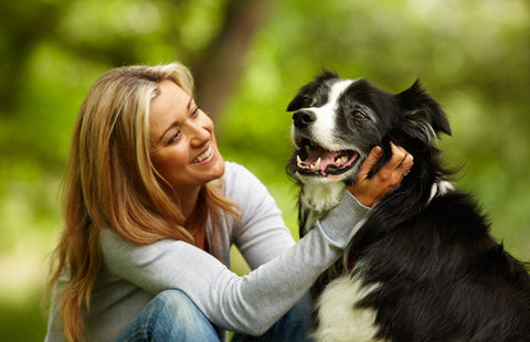 lady petting a dog