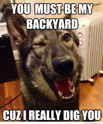dog meme about digging 