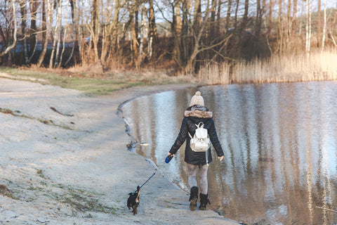 walking dog on beach 