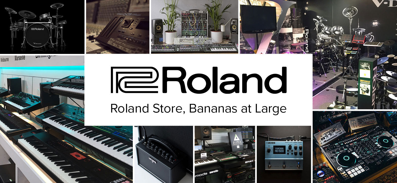 THE ROLAND STORE -  Bananas At Large