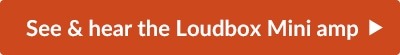 Fishman Loudbox Promo