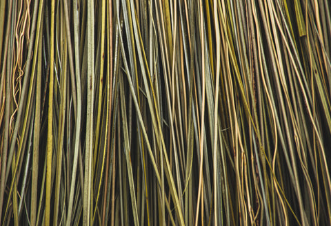 close up view of broom bristles