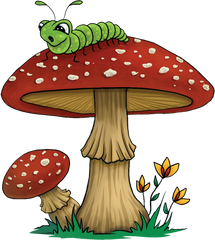 mushroom with worm