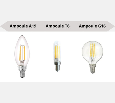 Ampoule A19_T6_G16 | Luminaire Plus.ca