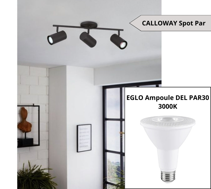 EGLO Ampoule DEL PAR30 3000K et CALLOWAY spot Par: