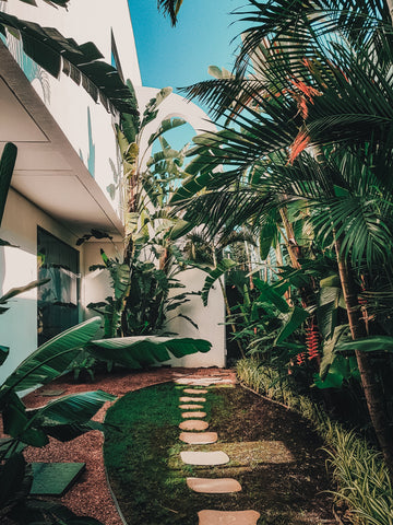 Stone pathway leading to house with palm trees and greenery.