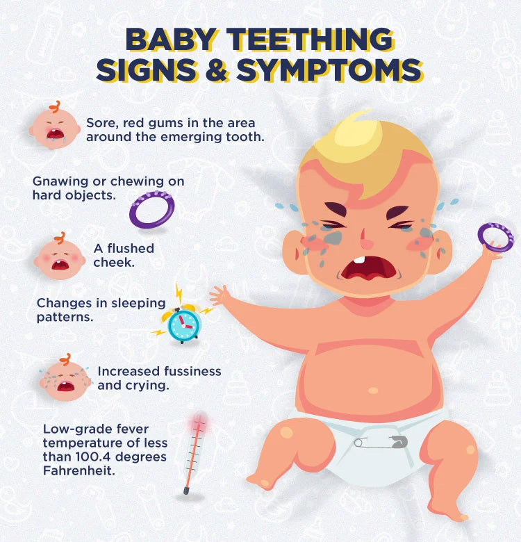 baby teething signs infographic