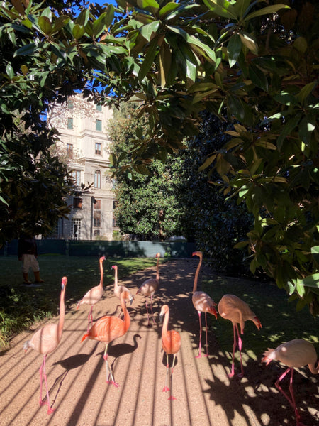 Flamingo garden in Milan