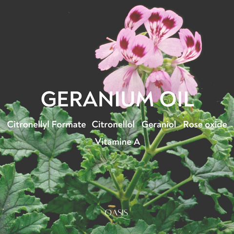 geranium oil lash serum