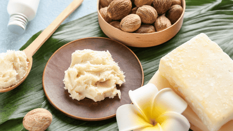Benefits of Shea Butter for Skin