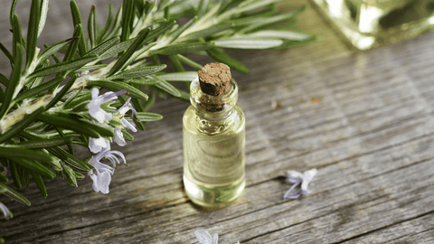 Benefits of Rosemary Leaf Extract for Skin