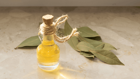 Exploring Laurel Oil: Benefits for Skin