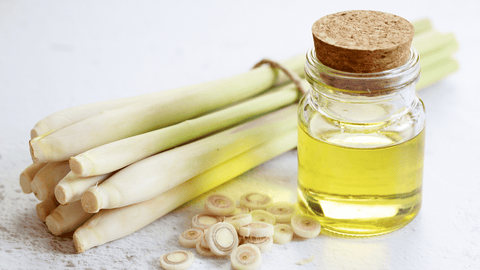 Benefits of Lemongrass Oil in Hair Care