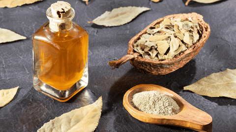 Exploring Laurel Oil: Benefits for Skin