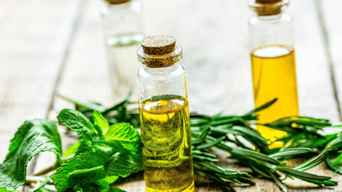 Benefits of Rosemary Leaf Extract for Skin