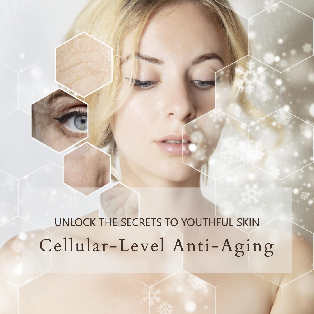 Focused_on_cellular-level_anti-aging_06d000a4-b49b-4cb3-96e0-c0915ecfc51a