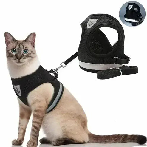 Mesh Vest Cat Harness in use