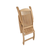 Design Warehouse - Classic Teak Steamer Chair 42042079609131- cc