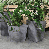 concrete plant pots outdoor decor nz