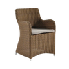 Design Warehouse - 124412 - Moni Wicker Dining Chair  - Sampulut cc