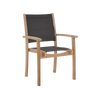 Design Warehouse - 124182 - Tango Teak Chair  - Black cc