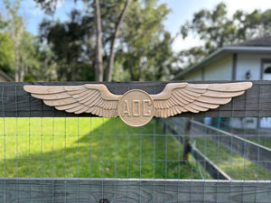 NOAA AOC Wings - Casey The Maker