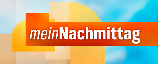 Logog Mein Nachmittag vom NDR