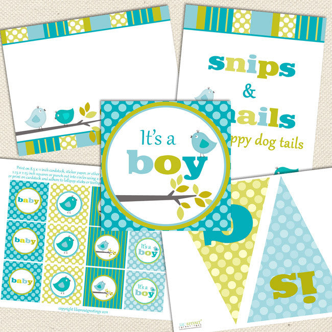 Bird Boy Printable Baby Shower Decorations Lil Sprout Greetings