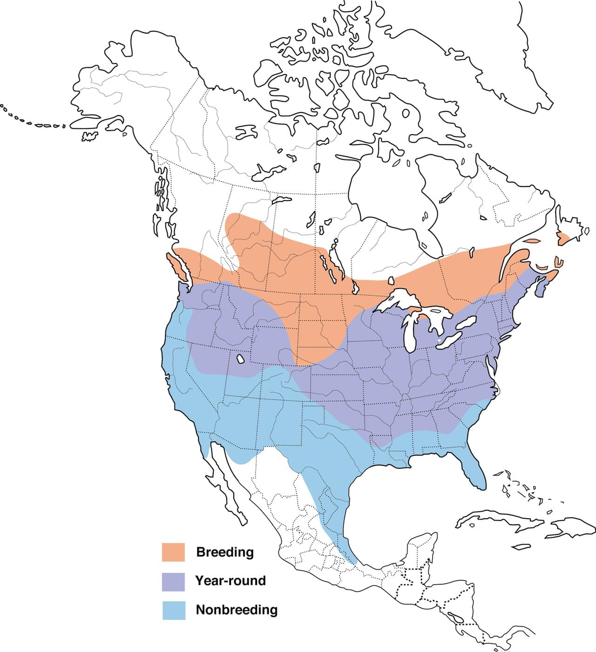 range map of goldfinch in USA