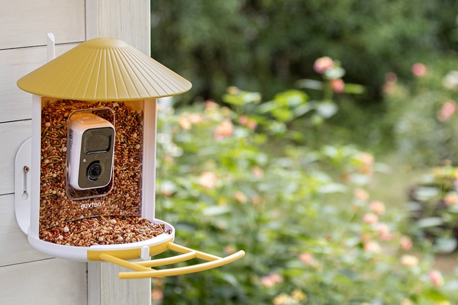 Bird Feeder