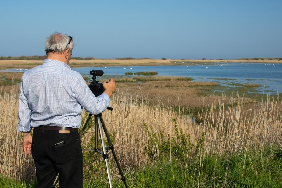 Birdwatching