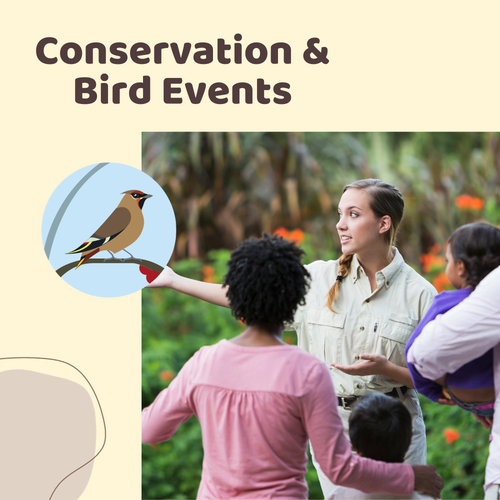 Conservation-and Bird-Events.PNG__PID:e3642664-b3fa-41b1-904e-700d01d1ef02